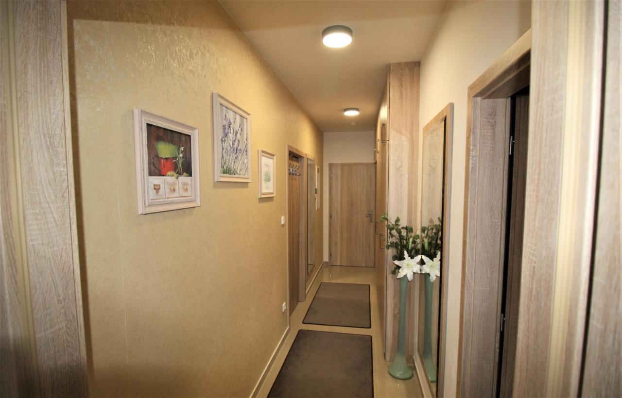Apartmany Rezidence Klostermann & Javor Železná Ruda Dış mekan fotoğraf